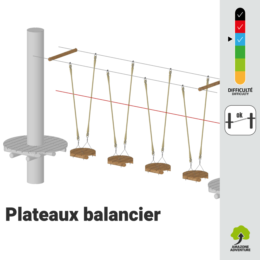 Plateaux balancier