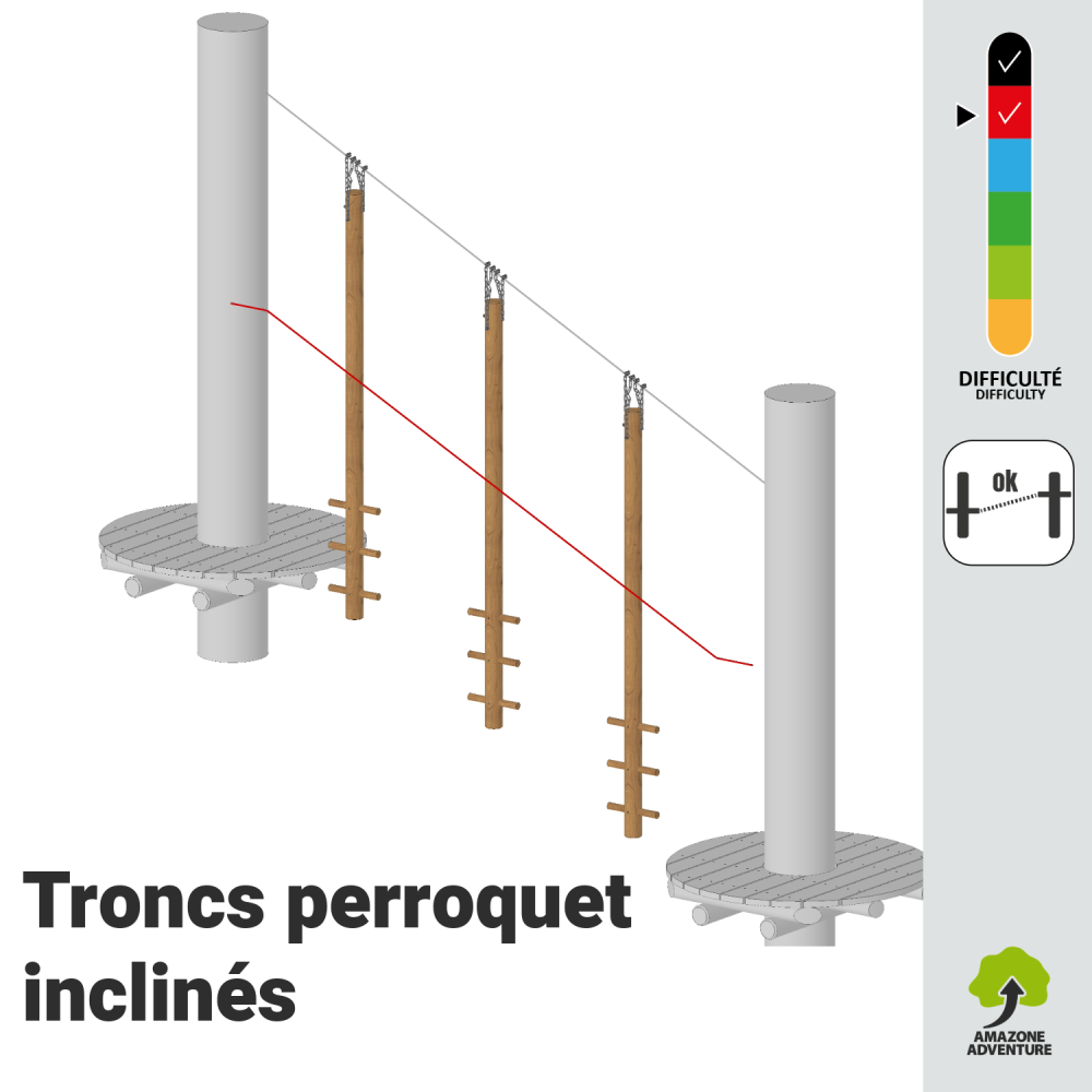 Troncs perroquet inclinés